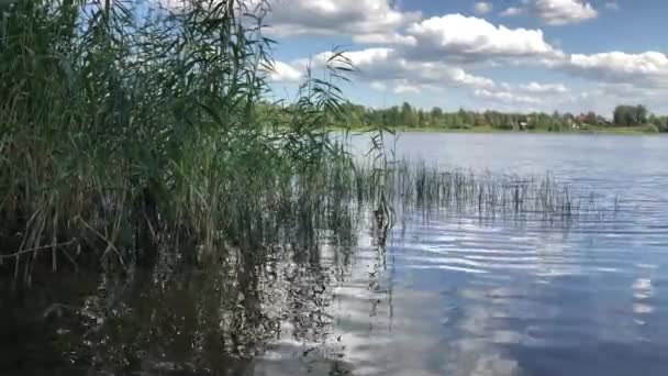 Oever Van Een Kalme Rivier Waterlandschap Van Wilde Noordelijke Natuur — Stockvideo