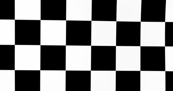 Fabric Checkered Black White Abstract Digital Canvas Motion — Stock Video