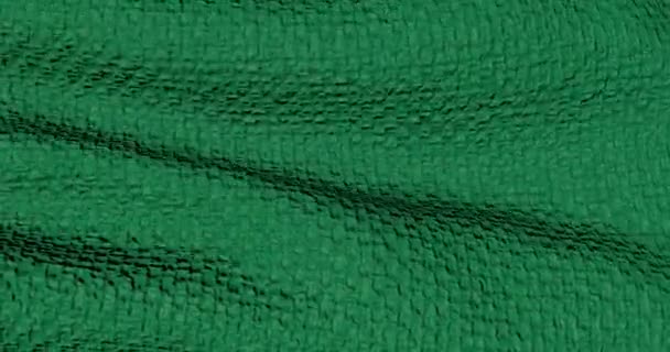 Tissu Est Vert Texturé Toile Numérique Abstraite Mouvement — Video