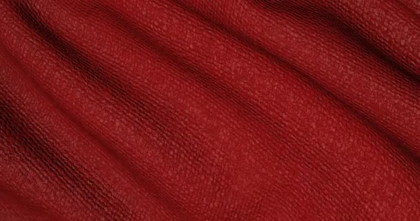Tissu Texturé Rouge Toile Numérique Abstraite Mouvement — Video