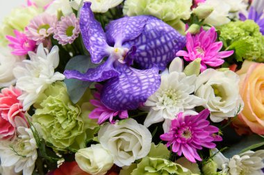 Bir demet farklı çiçek..