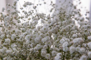 Pencere iç tarafında dekoratif çiçekler.