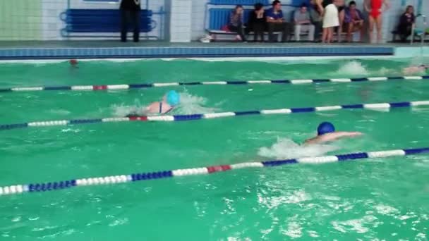 Nadadores de competición en la piscina — Vídeos de Stock