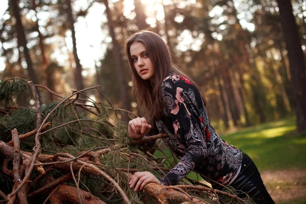 Menina adulta jovem bonita deitada em uma árvore caída — Fotografia de Stock