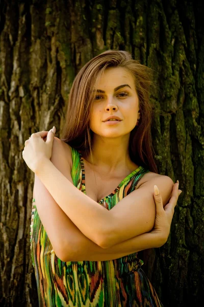 Jeune belle femme brune étreignant tronc d'arbre — Photo