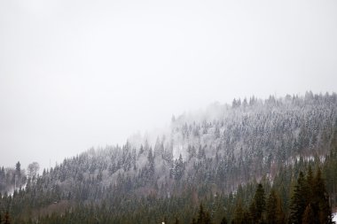 Kış dağlar. Karpatlar hills