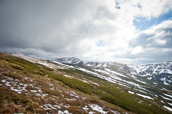 Céspedes de montaña hermosa en verano . — Foto de Stock