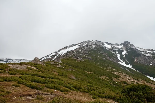 Montagne carpatiche. La strada verso l'alto — Foto Stock