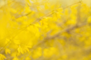 행복 한 젊은 여성이 보여주는 오래 된 스타일 골동품 알람 시계