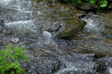 Ukrayna closeup nehirde dağ