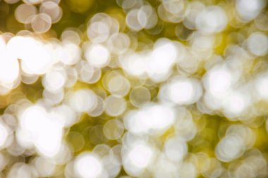 Doğa altın bokeh arka plan
