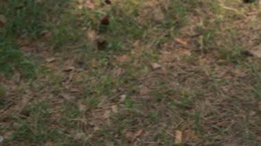 Benim en sevdiğim şarkı bu!