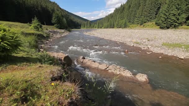 Mountain lake in Karpaty — Stock Video