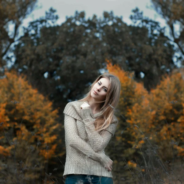 Girl in a sweater standing in a field — Stock Photo, Image