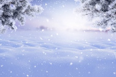 Kış Harikalar Diyarı. Buzlu çam dallarıyla çerçevelenmiş el değmemiş, dalgalı kar manzarası. Yumuşak kar yağışı ve parlak bir arka plan ışığı günbatımında büyülü, huzurlu bir kış sahnesi yaratır.