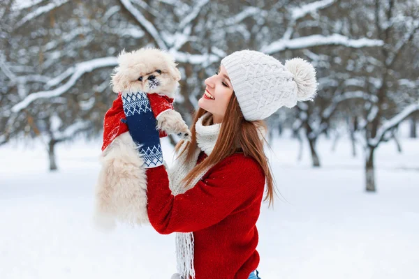 Young beautiful girl holds little puppy in his hands and playing with him. — ストック写真