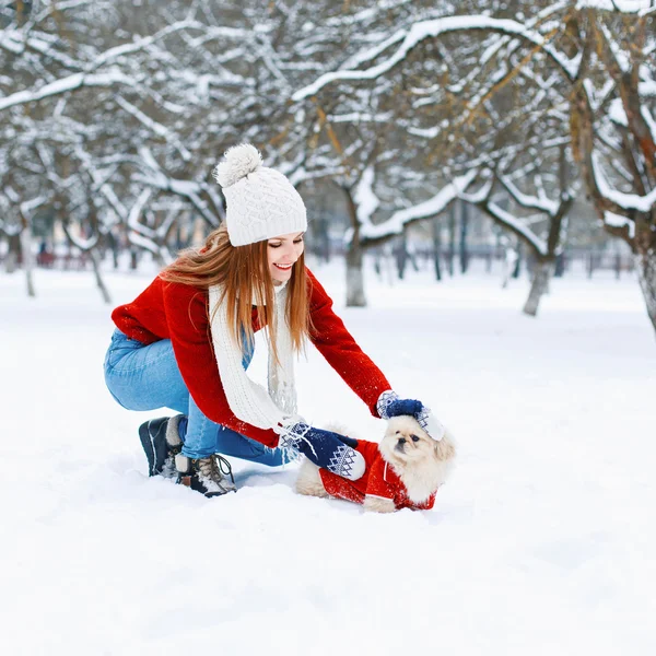 Girl walking a dog. Winter season — Stock Photo, Image