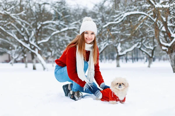 Bella ragazza in maglione rosso a maglia che porta a spasso un cane su uno sfondo bianco innevato . — Foto Stock