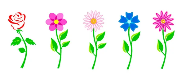矢量质量的花卉图形集 — 图库矢量图片