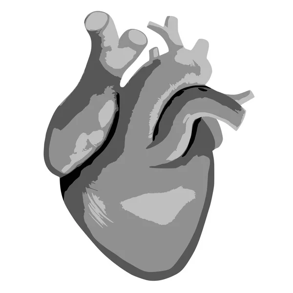 Gráfico Con Corazón Calidad Vectorial — Archivo Imágenes Vectoriales