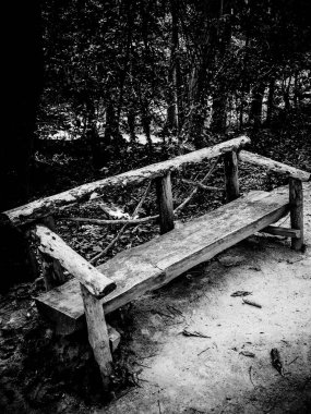 Boş bir orman zemininde ahşap bir bank. tek renkli resim.