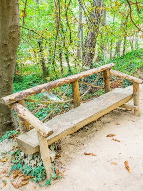 sonbahar Park düşen yapraklar ile tezgah