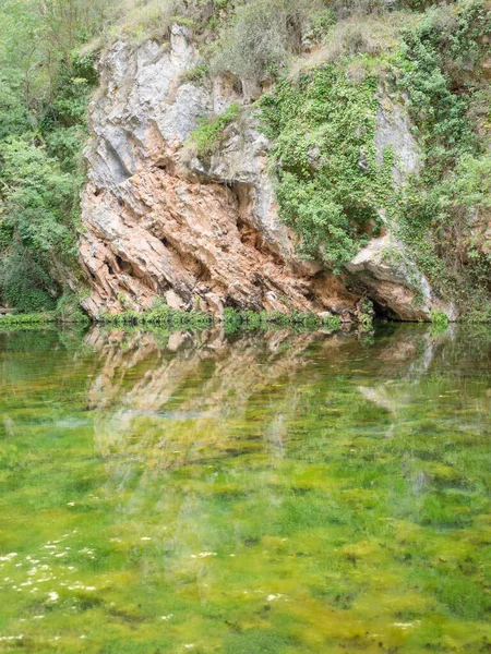 Yeşil ağaçlarla çevrili güzel bir nehir görüntüsü.