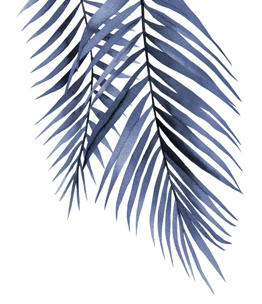 Blue palm leaves. Abstract tropical branches. Watercolour illustration isolated on white background. Plant detail for card, postcard, invitation, greeting.