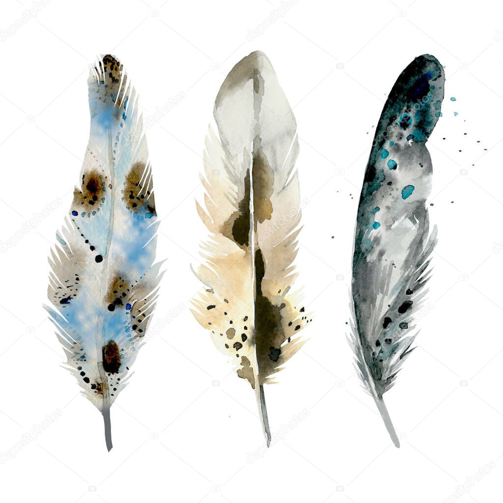 Painted decor elements for boho style design. Feather collection. Design for a invitation, greeting, card, postcard, textile, wrapper pattern, frame or border. Watercolor illustration on white