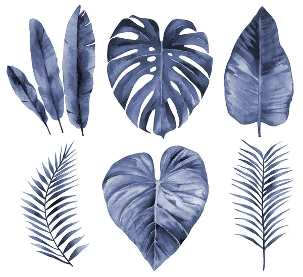 Blue watercolour Leaf set. Navy Blue Leaves. Watercolor illustration isolated on white background.