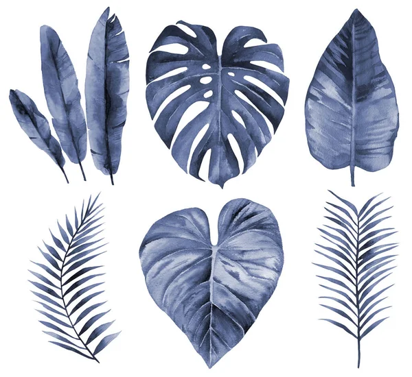 Blauw aquarelblad set. Navy Blue Leaves. Aquarelillustratie geïsoleerd op witte achtergrond. — Stockfoto