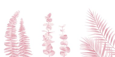 Kızarık pembe yaprak seti. Eğreltiotu, okaliptüs ve palmiye dalları. Suluboya çizimi beyaz arkaplanda izole edildi.