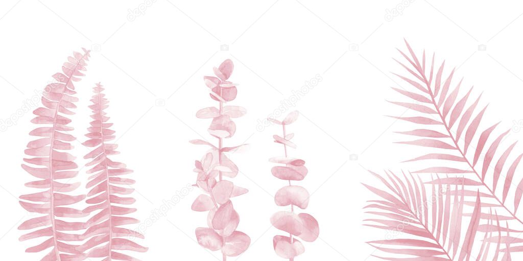 Blush Pink leaf set. Fern, eucalyptus and palm branches. Watercolour illustration isolated on white background.