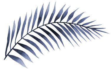 Suluboya mavi yaprak. Kavisli palmiye dalı. Kostüm tasarımı. Suluboya çizimi beyaz arkaplanda izole edildi.