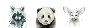 Suluboya hayvan yüzü seti. Panda, rakun ve tilki Fennec. Beyaz üzerine suluboya çizimi
