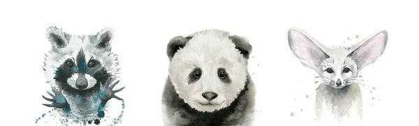 Aquarel dier gezicht ingesteld. Panda, wasbeer en vos fennec. Aquarelillustratie op wit — Stockfoto