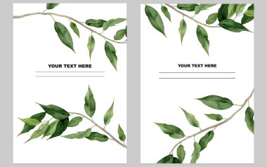 Yaprak arkaplan. Yeşil bitki çerçeve tasarımı. Ficus yeşillik çerçeveleri. Beyaz arka planda suluboya illüstrasyon. Suluboya Sanat.