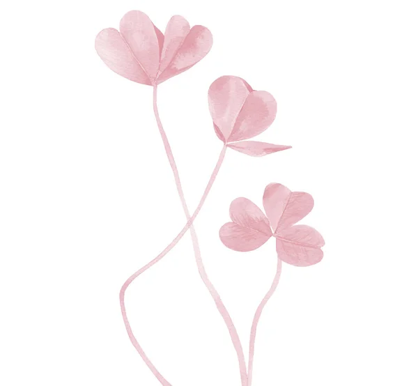 Roze Klavers. Pastel plant stengels. Aquarelillustratie geïsoleerd op witte achtergrond. — Stockfoto