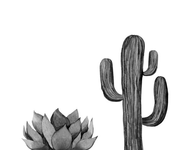 Conjunto de cactos. Cactos monocromáticos a aquarela. Ilustração isolada sobre fundo branco. — Fotografia de Stock