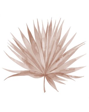 Kurumuş palmiye yaprağı. Tarafsız renkli tropikal yaprak. Suluboya çizimi beyaz arkaplanda izole edildi.