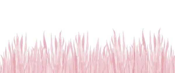 Pasztell rózsaszín fű háttér határ. Akvarell illusztráció fehér háttérrel. Vízszín minimalista művészet. — Stock Fotó