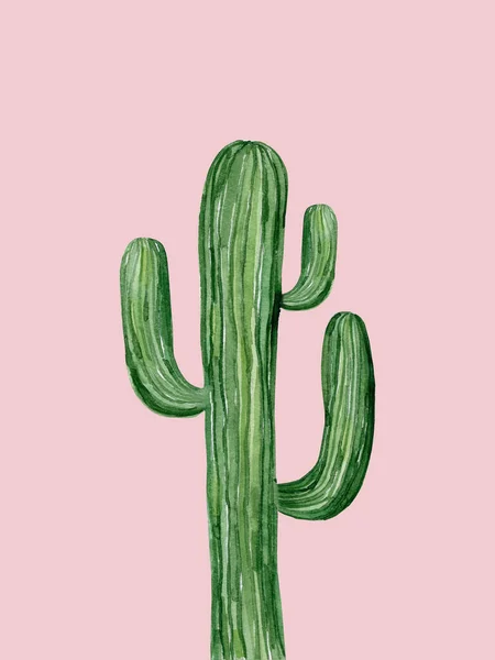Kaktus Saguaro. Jihozápadní rostlina. Botanický detail na pozdrav, pozvání, pohlednici, pohlednici. Akvarelové ilustrace izolované na bílém pozadí. — Stock fotografie