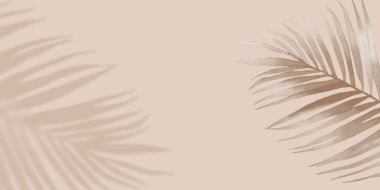 Gölge doğa tropikal Palm arka planı. Yaratıcı nötr eşuzay. Gölge 'nin doğa tarzı. Kapak, eğilim çerçevesi, kart, afiş, grafik tasarımı.