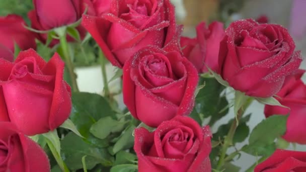 Florería, hermosa rosa recién cortada con pequeñas gotitas de agua — Vídeos de Stock