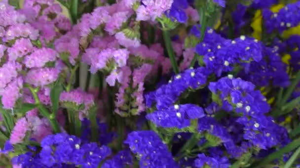 鲜花店，各种美丽的花卉 — 图库视频影像