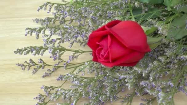 Ramo de flores, rosas rojas frescas y capas con caspias — Vídeos de Stock