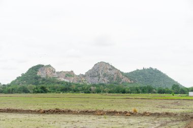 yeşil alan arasında orta dağ