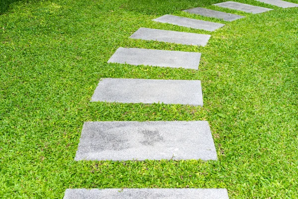 Front yard rock walkway between grasses — Stock Photo, Image