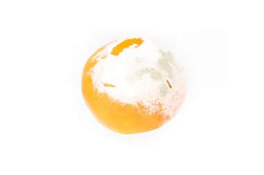 Kokmuş çürük mantar küf turuncu