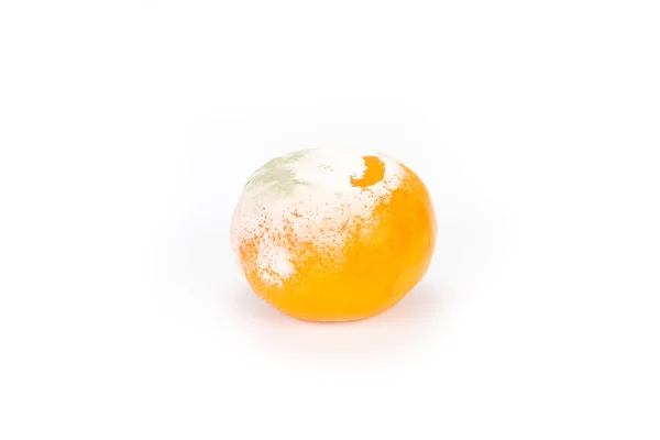 Смердючий гнилий грибком цвіллю помаранчевий — стокове фото